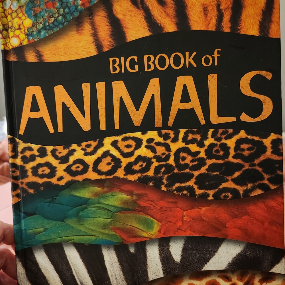 Big Book of Animals - Multicolor Kids Toy - Picture 4 of 4